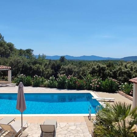 Lorgues, La Tourelle, Immense Piscine, Plongeoir, Vue, Au Grand Calme Villa Buitenkant foto