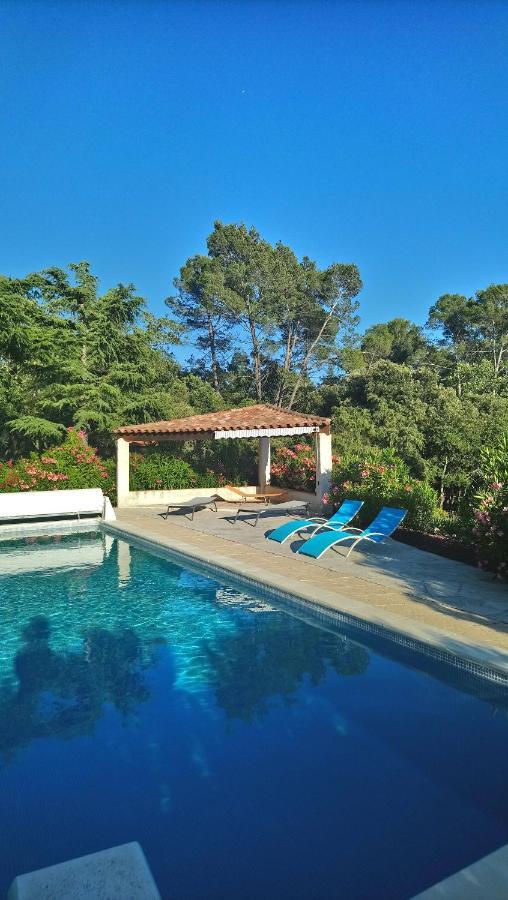 Lorgues, La Tourelle, Immense Piscine, Plongeoir, Vue, Au Grand Calme Villa Buitenkant foto