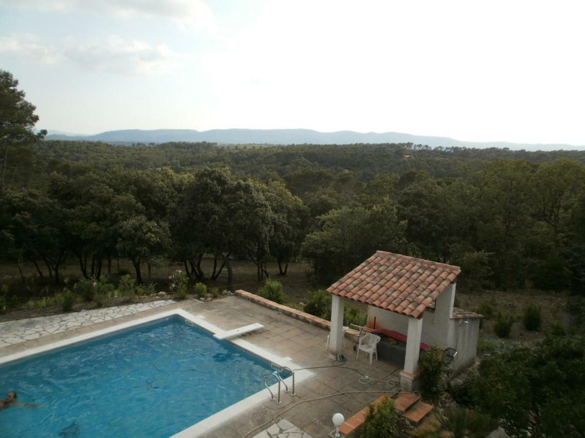 Lorgues, La Tourelle, Immense Piscine, Plongeoir, Vue, Au Grand Calme Villa Buitenkant foto
