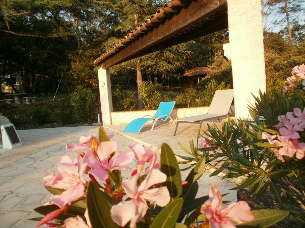 Lorgues, La Tourelle, Immense Piscine, Plongeoir, Vue, Au Grand Calme Villa Buitenkant foto
